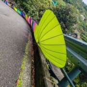 ヒメ日記 2025/06/14 16:53 投稿 森 人妻風俗チャンネル