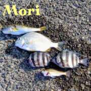 ヒメ日記 2025/09/20 17:00 投稿 森 人妻風俗チャンネル