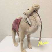 森 埋め合わせの約束 人妻風俗チャンネル