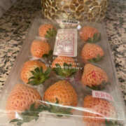 ヒメ日記 2025/03/23 21:50 投稿 みるく 奥鉄オクテツ東京店（デリヘル市場）