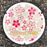 ヒメ日記 2025/05/16 10:20 投稿 みるく 奥鉄オクテツ東京店（デリヘル市場）