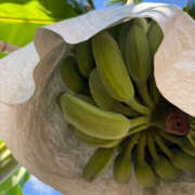 ヒメ日記 2025/09/09 16:05 投稿 みるく 奥鉄オクテツ東京店（デリヘル市場）