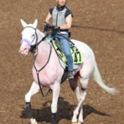ヒメ日記 2025/09/17 08:25 投稿 みるく 奥鉄オクテツ東京店（デリヘル市場）