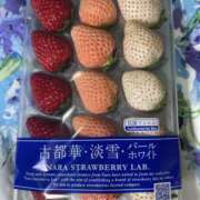 ヒメ日記 2026/03/18 13:50 投稿 みるく 奥鉄オクテツ東京店（デリヘル市場）