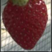 ヒメ日記 2025/03/21 07:48 投稿 はるな 神田ハンドメイド