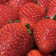 ヒメ日記 2025/03/27 20:00 投稿 はるな 神田ハンドメイド