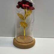 宮下ひかる テスト 五十路マダム 浜松店(カサブランカグループ)