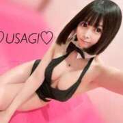 ヒメ日記 2025/03/08 09:37 投稿 うさぎ チューリップ福井本館