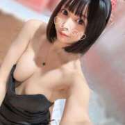 ヒメ日記 2025/03/15 12:07 投稿 うさぎ チューリップ福井本館