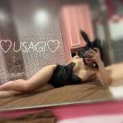 ヒメ日記 2025/03/15 16:14 投稿 うさぎ チューリップ福井本館