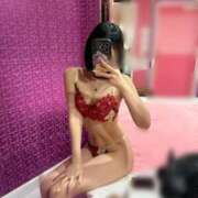 ヒメ日記 2025/03/18 12:44 投稿 うさぎ チューリップ福井本館