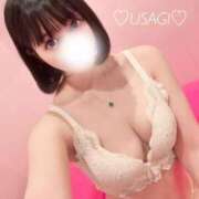 ヒメ日記 2025/04/30 21:24 投稿 うさぎ チューリップ福井本館