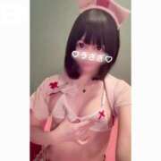 ヒメ日記 2025/05/05 23:34 投稿 うさぎ チューリップ福井本館