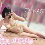 ヒメ日記 2025/05/09 10:44 投稿 うさぎ チューリップ福井本館