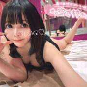 ヒメ日記 2025/05/09 16:14 投稿 うさぎ チューリップ福井本館