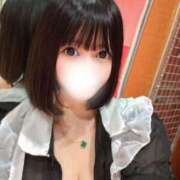 ヒメ日記 2025/05/11 12:54 投稿 うさぎ チューリップ福井本館