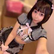 ヒメ日記 2025/05/11 14:24 投稿 うさぎ チューリップ福井本館