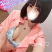 ヒメ日記 2025/05/13 17:44 投稿 うさぎ チューリップ福井本館