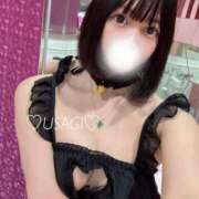 ヒメ日記 2025/05/14 09:16 投稿 うさぎ チューリップ福井本館