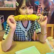 ヒメ日記 2025/06/29 16:14 投稿 うさぎ チューリップ福井本館