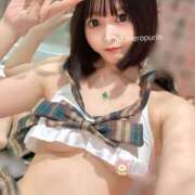 ヒメ日記 2025/07/12 12:25 投稿 うさぎ チューリップ福井本館