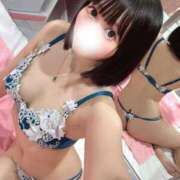 ヒメ日記 2025/07/13 09:15 投稿 うさぎ チューリップ福井本館