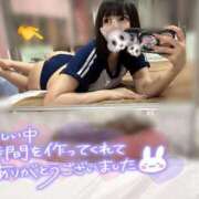 ヒメ日記 2025/08/12 17:19 投稿 うさぎ チューリップ福井本館