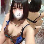 ヒメ日記 2025/08/14 09:23 投稿 うさぎ チューリップ福井本館