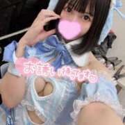 ヒメ日記 2025/10/14 21:48 投稿 うさぎ チューリップ福井本館