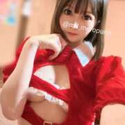 ヒメ日記 2025/12/09 12:16 投稿 うさぎ チューリップ福井本館