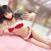 ヒメ日記 2025/12/09 21:14 投稿 うさぎ チューリップ福井本館