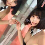 ヒメ日記 2025/12/11 19:54 投稿 うさぎ チューリップ福井本館