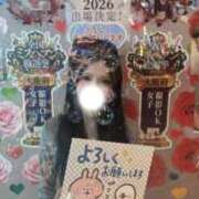ヒメ日記 2026/10/08 14:15 投稿 るい スッキリ！！日本橋店