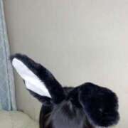 ヒメ日記 2025/12/09 10:27 投稿 らぶ 錦糸町ハートショコラ（シンデレラグループ）