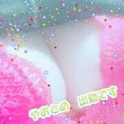 ヒメ日記 2025/09/30 08:42 投稿 八乙女 松戸おかあさん