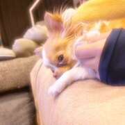 ヒメ日記 2025/06/09 01:28 投稿 にの banana