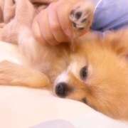 ヒメ日記 2025/08/24 18:36 投稿 にの banana