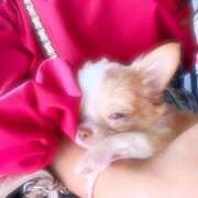 ヒメ日記 2025/08/31 17:44 投稿 にの banana