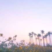 ヒメ日記 2025/09/05 20:00 投稿 にの banana