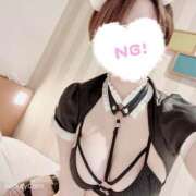 ヒメ日記 2025/07/05 09:06 投稿 ねお 若葉