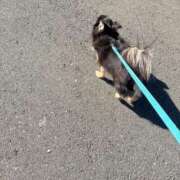 ヒメ日記 2025/07/31 08:40 投稿 ちなつ ホワイトハウス