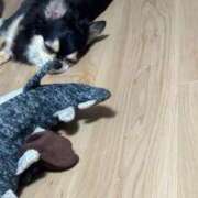 ヒメ日記 2025/09/14 11:16 投稿 ちなつ ホワイトハウス