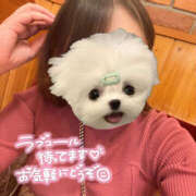 ヒメ日記 2025/04/21 00:17 投稿 水瀬（独身） 越後屋池袋総本店