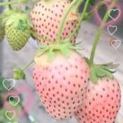 ヒメ日記 2025/03/16 14:13 投稿 わかな 三重松阪ちゃんこ