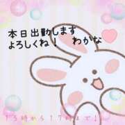 ヒメ日記 2025/03/17 10:53 投稿 わかな 三重松阪ちゃんこ