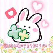 ヒメ日記 2025/03/26 09:33 投稿 わかな 三重松阪ちゃんこ