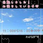 ヒメ日記 2025/04/01 11:33 投稿 わかな 三重松阪ちゃんこ
