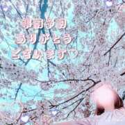 ヒメ日記 2025/04/08 17:53 投稿 わかな 三重松阪ちゃんこ