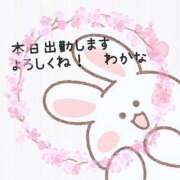 ヒメ日記 2025/04/18 08:13 投稿 わかな 三重松阪ちゃんこ