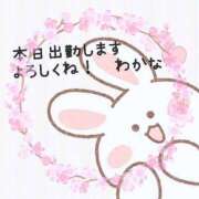 ヒメ日記 2025/05/01 10:23 投稿 わかな 三重松阪ちゃんこ